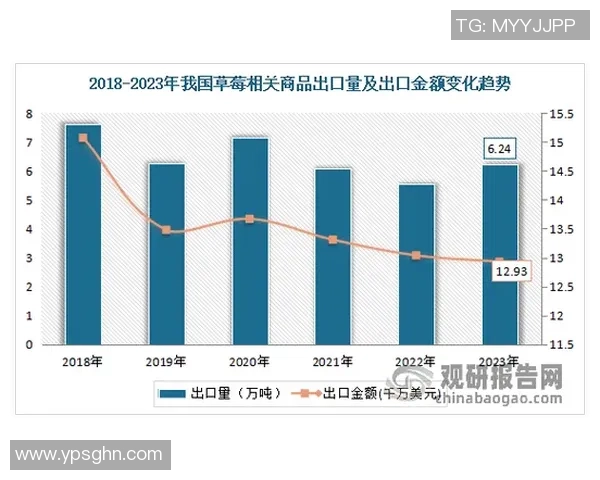 日本足球明星三占的辉煌历程与对未来的影响分析