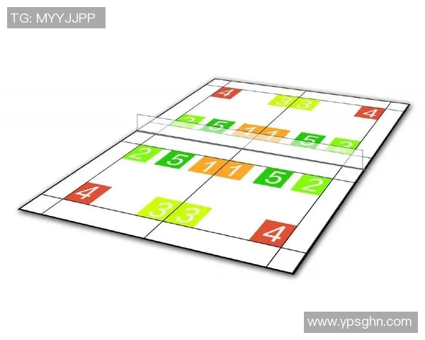 南京羽毛球队反击战术深度解析与实战应用探讨