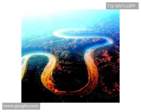 成都排球队的崛起与发展探索展现排球运动的无限魅力与力量