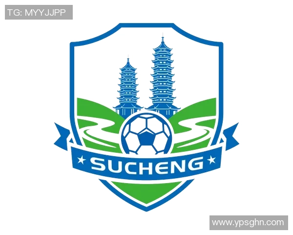 足球明星队徽全景展示与背后故事解析